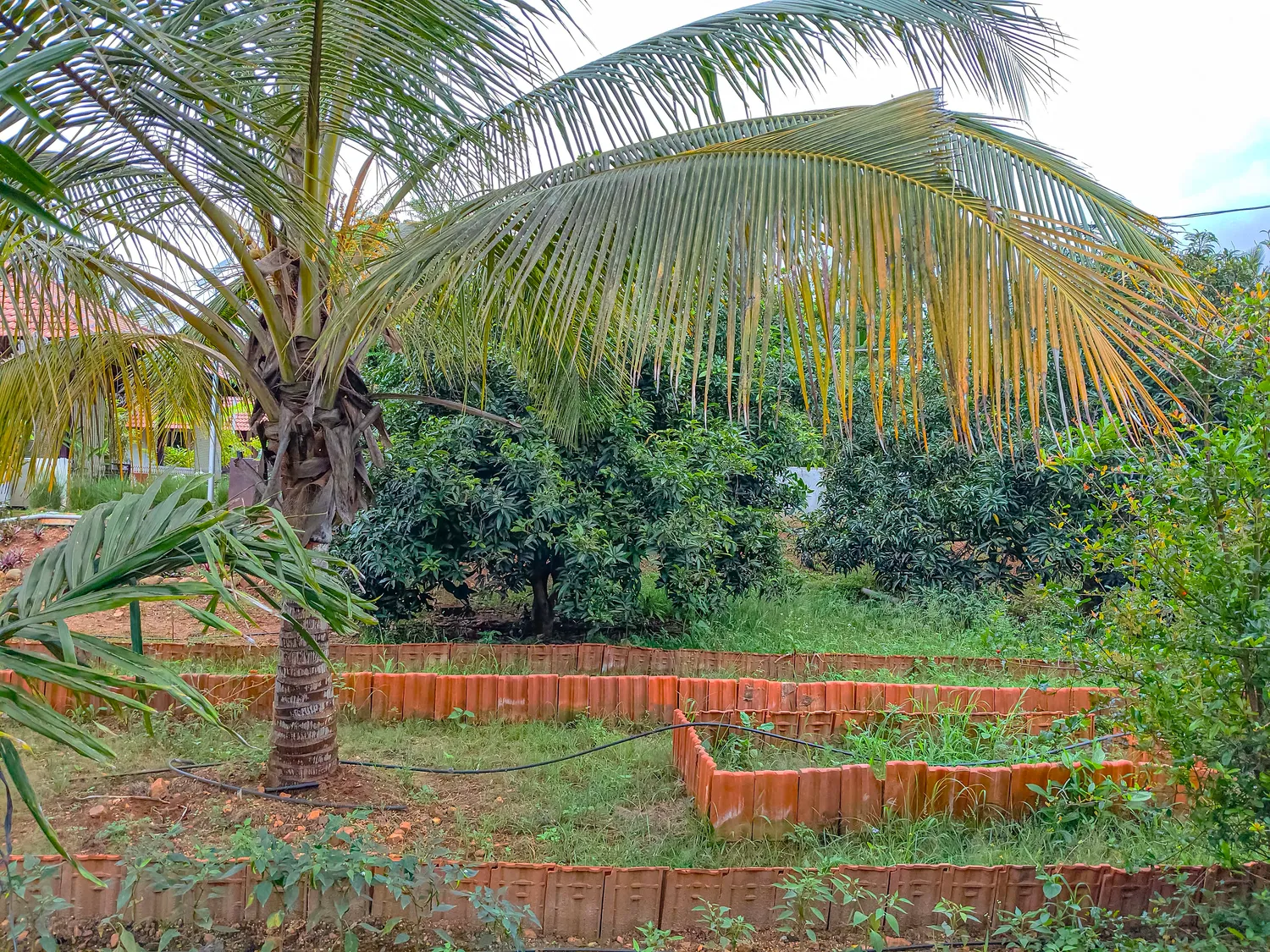 Pranigram farms — Yediyuru view 15