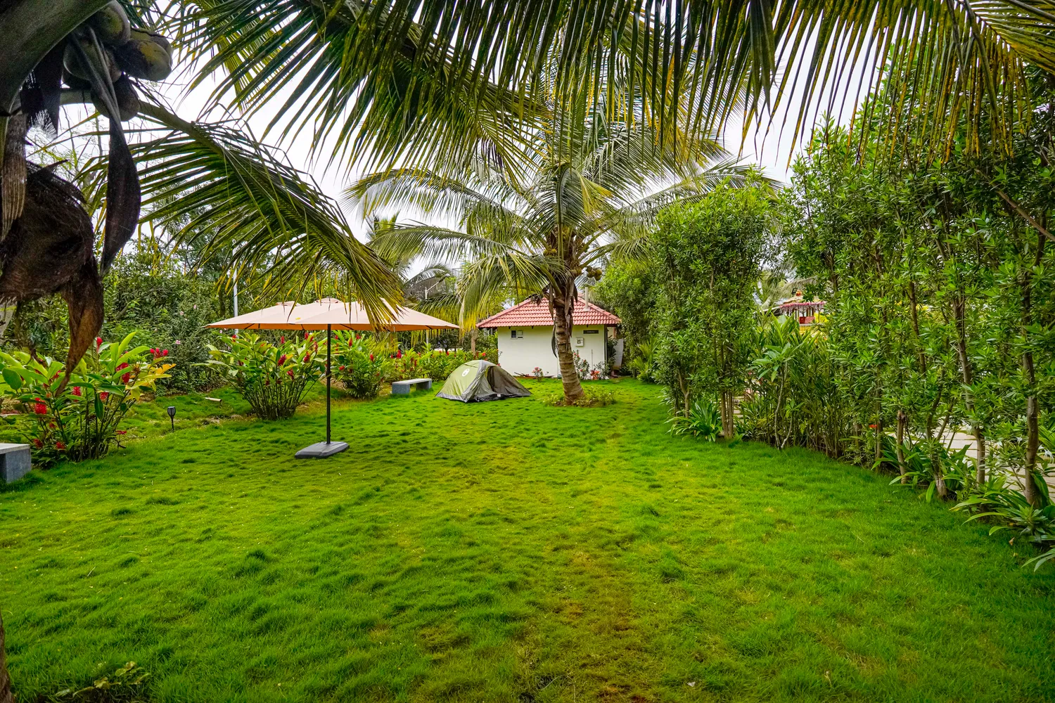Pranigram farms — Yediyuru view 3