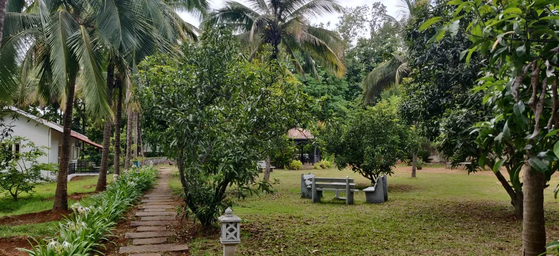 Prana — Hosur Road view 7