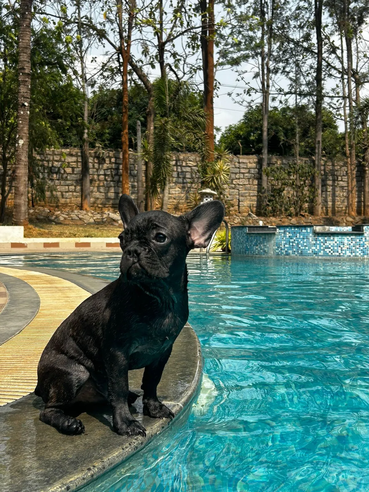 Pet-Friendly Farmhouse Near Bangalore